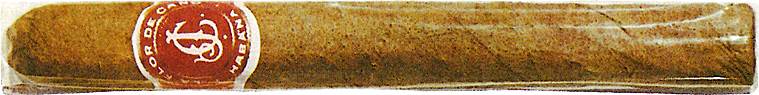 卡诺之花La Flor de Cano 盖瑟斯 Iberos