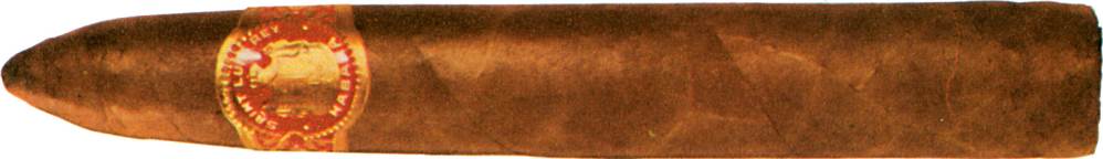 圣路易斯雷伊 Saint Luis Rey 金字塔 1 号 Pyramides No.1